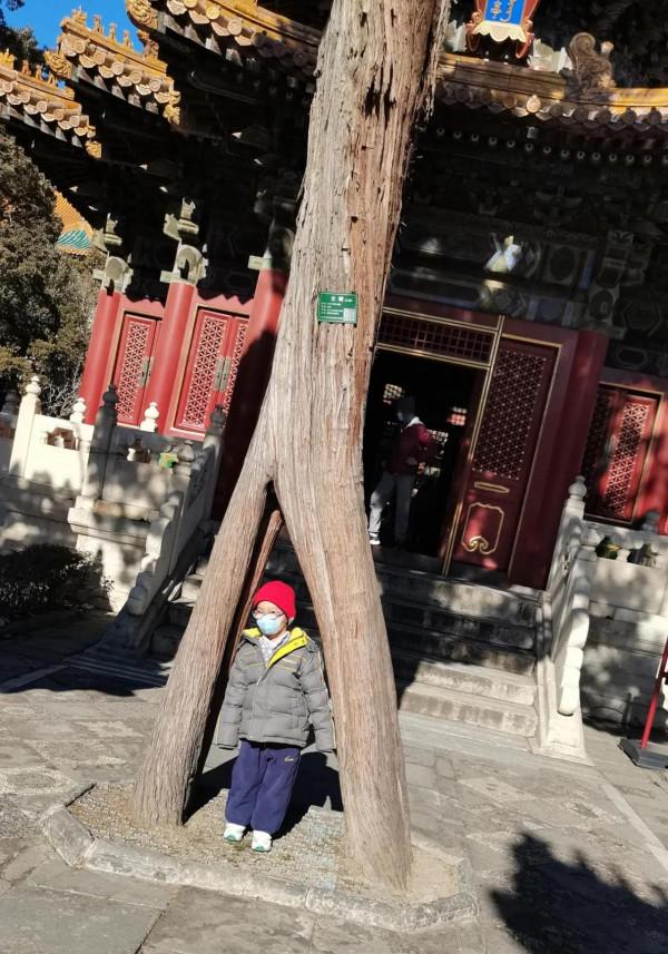 春節前幾天來故宮的都賺了