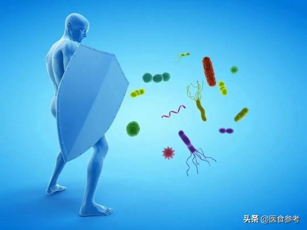 免疫力是最好的醫生,新的一年,堅持4件事,免疫力或能翻倍 免疫力是最好的醫生,新的一年,堅持4件事,免疫力或能翻倍