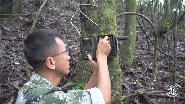 高黎貢山熊出沒 高黎貢山熊出沒