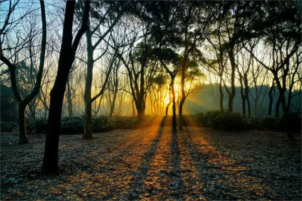 國內10個適合放鬆自己的旅行地，人少景美！疫情過後，就出發