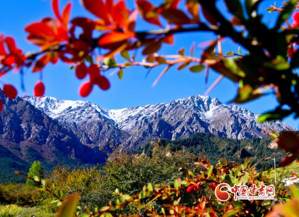 秋日祁連斑斕如畫