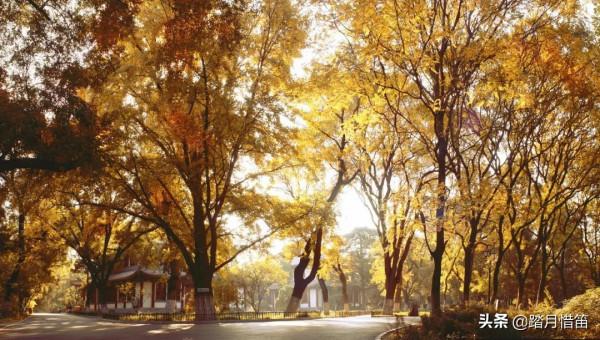 如果沒有疫情，此刻我勸你一定要去一趟北京...