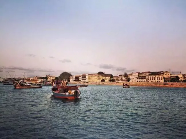 一箇中吹的“坦尚尼亞導師”尼雷爾