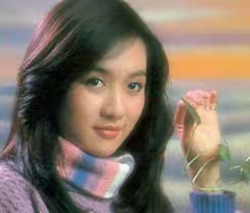 呂秀菱，號稱林青霞接班人，32歲退圈，嫁給華納高層，至今無子女