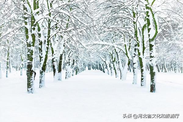 我們小時候，風雪那麼大，為啥冷不怕？
