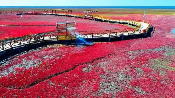 醉美中國，在秋天