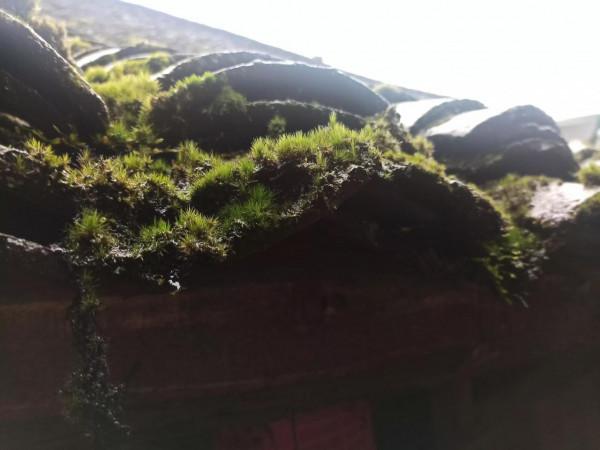 高廟，一座原汁原味的古鎮