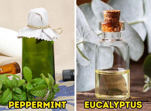 感冒時用8種自然的方法疏通你的鼻子