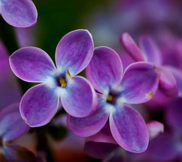 透過細節看一個人的本質,有些現象,還挺準的 透過細節看一個人的本質,有些現象,還挺準的