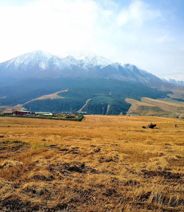 這個秋天，我想要一場去青海的旅行
