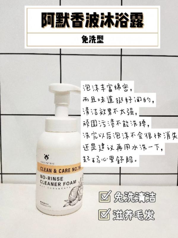 從哪幾個方面做起可以讓自家貓咪變精緻? 從哪幾個方面做起可以讓自家貓咪變精緻?