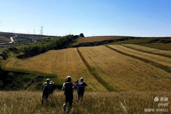 山西,讓我一次愛個夠之三——長城(大河堡到二道梁)古城與中秋 山西,讓我一次愛個夠之三——長城(大河堡到二道梁)古城與中秋