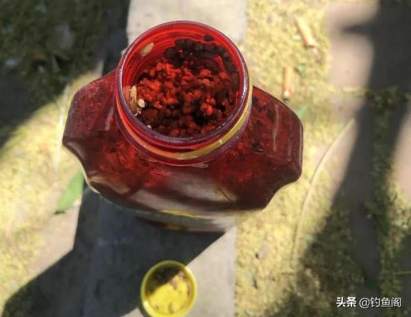 酒米的顏色會影響魚咬鉤？實戰告訴你什麼樣的酒米最招魚