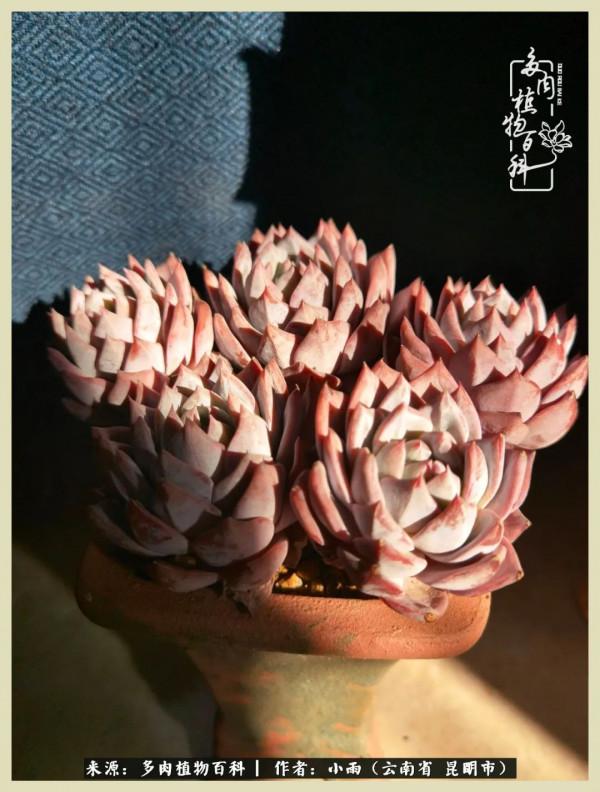 用一份熱愛，溫暖一段時光