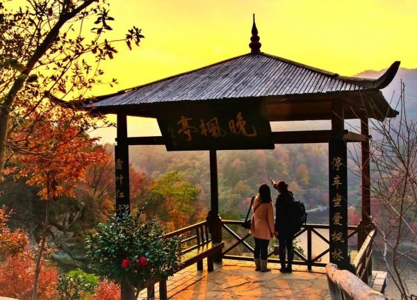 11月，看湖北，層林盡染！