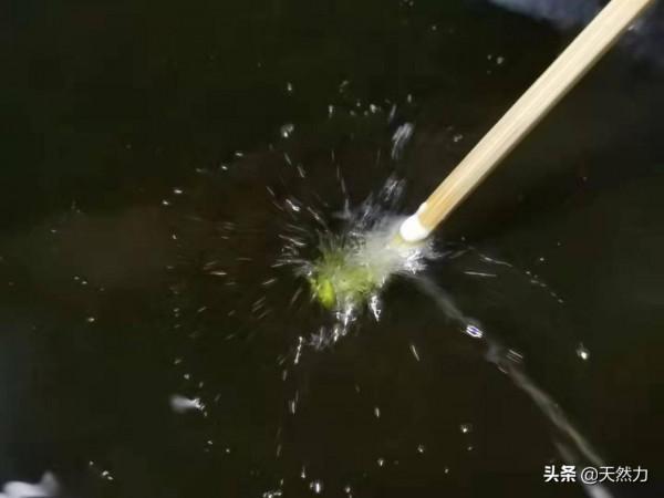 東北名菜鍋包肉的老做法,滿滿的小技巧,在家也能做出飯店的味道 東北名菜鍋包肉的老做法,滿滿的小技巧,在家也能做出飯店的味道