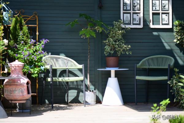 綠色背景牆的角落，聞著番木瓜花的香味賞月啦 | 園丁