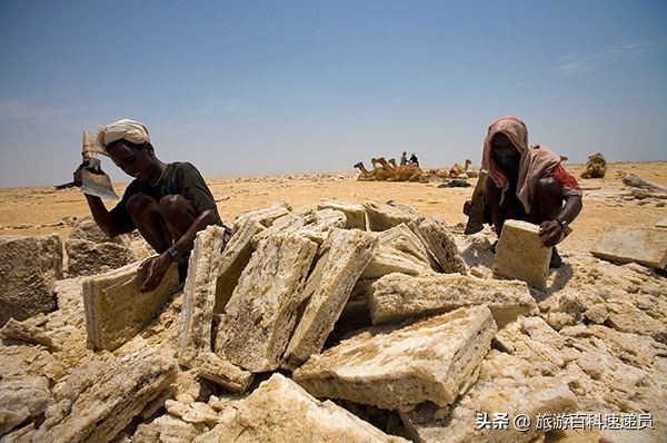 極高溫60℃,還有人在此居住,到底為了啥,網友說:確實牛啊 極高溫60℃,還有人在此居住,到底為了啥,網友說:確實牛啊