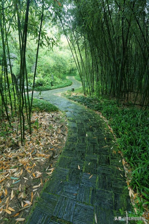 你是否懷念兒時釣魚的時光,裝備簡單,反而能釣到很多魚 你是否懷念兒時釣魚的時光,裝備簡單,反而能釣到很多魚