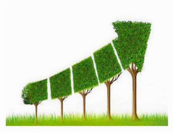 拉閘捲起停工潮,上市公司被限電公告刷屏,多地工廠宣佈停產 拉閘捲起停工潮,上市公司被限電公告刷屏,多地工廠宣佈停產