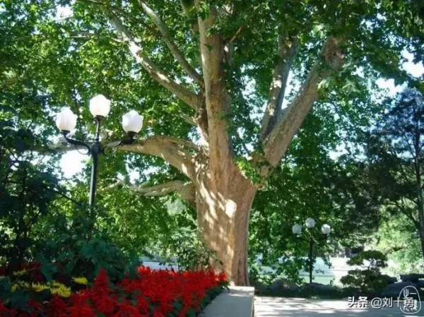 比中南海，釣魚臺還要神秘的北京“禁區”