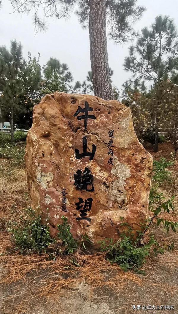 由原來墳區改建的水牛山公園