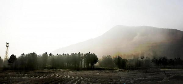 遊東庵森林公園