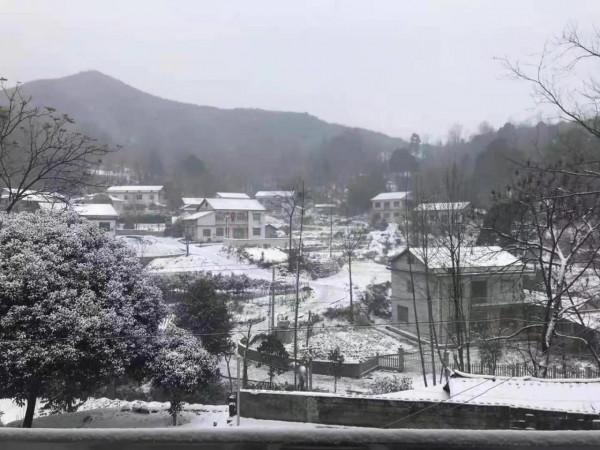 玉岸：我的父親和母親