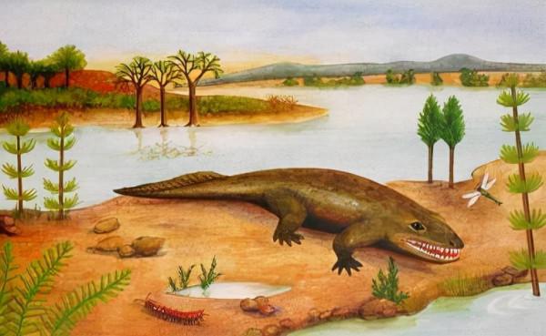 提塔利克魚:魚類與兩棲動物的過渡|地球簡史系列 提塔利克魚:魚類與兩棲動物的過渡|地球簡史系列