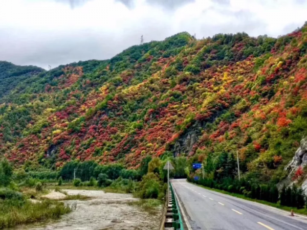 沿途皆如天堂!這10條深秋路線,去過一半就邂逅中國大半的美 沿途皆如天堂!這10條深秋路線,去過一半就邂逅中國大半的美