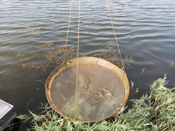 新機遇!多次被中央“一號檔案”點名發展,這種模式或將創造更多奇蹟 新機遇!多次被中央“一號檔案”點名發展,這種模式或將創造更多奇蹟