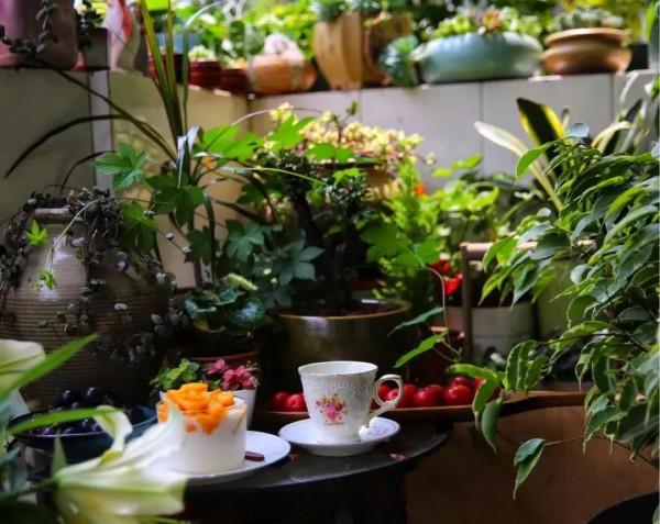 2樓打造12㎡“露臺花園”,一壼茶,一本書,就能坐上一整天 2樓打造12㎡“露臺花園”,一壼茶,一本書,就能坐上一整天