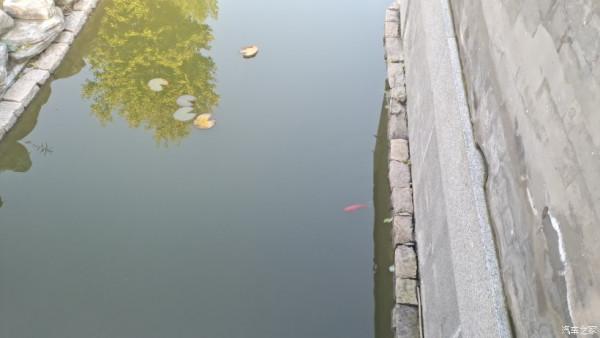 五百年盤龍古松.與秦Plus Dmi探訪千年幽幽古剎！