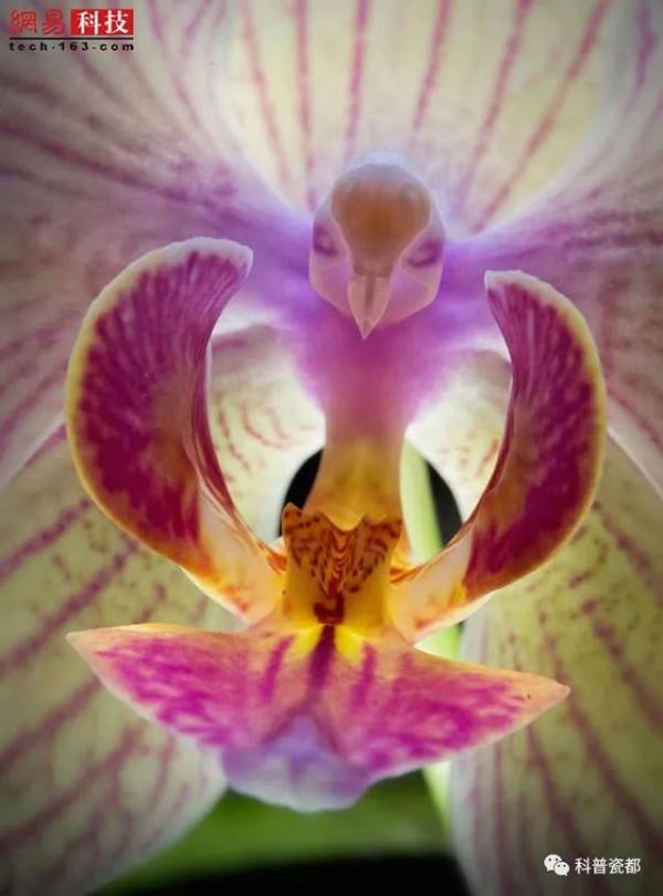 看看這些漂亮的花