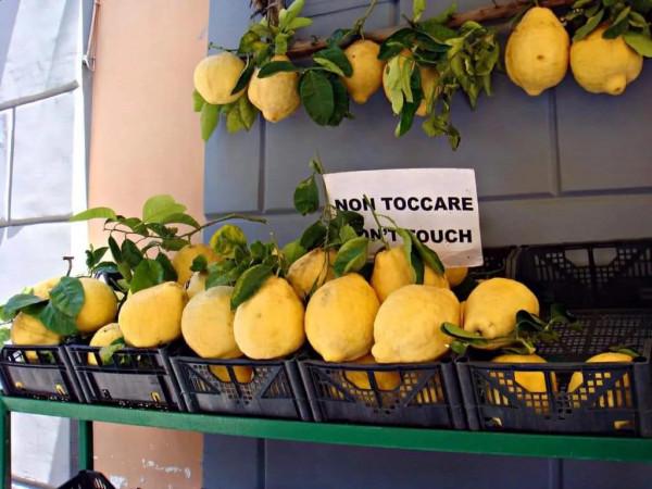 美麗的阿瑪菲海岸