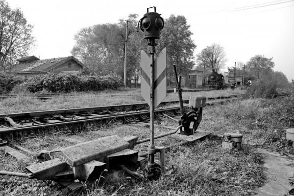 當年我和乘警藏貓貓的事「嚴建設老照片407集」