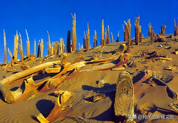 神秘的新疆小河遺址，塵封在時間隱秘的深處