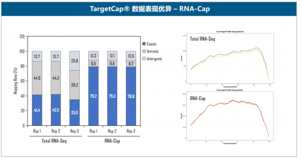 伯科高品質DNA合成技術實現多平臺靶向測序應用的領先水平 伯科高品質DNA合成技術實現多平臺靶向測序應用的領先水平