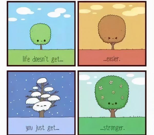 12張漫畫，拆穿生活真相