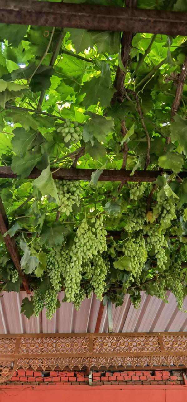 福州哈雷戴維森車主會（H.O.G）西域北疆行（9）