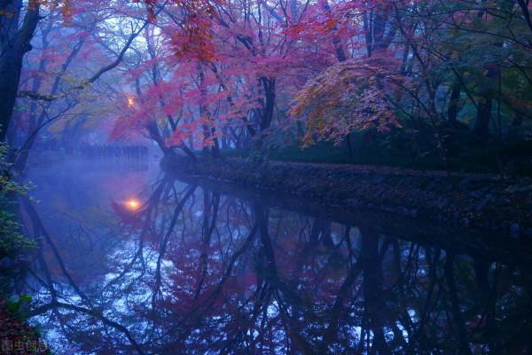 淡定從容，世事無常，心安即是歸處