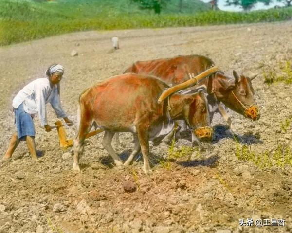 懷舊中國｜1917年的四川社會