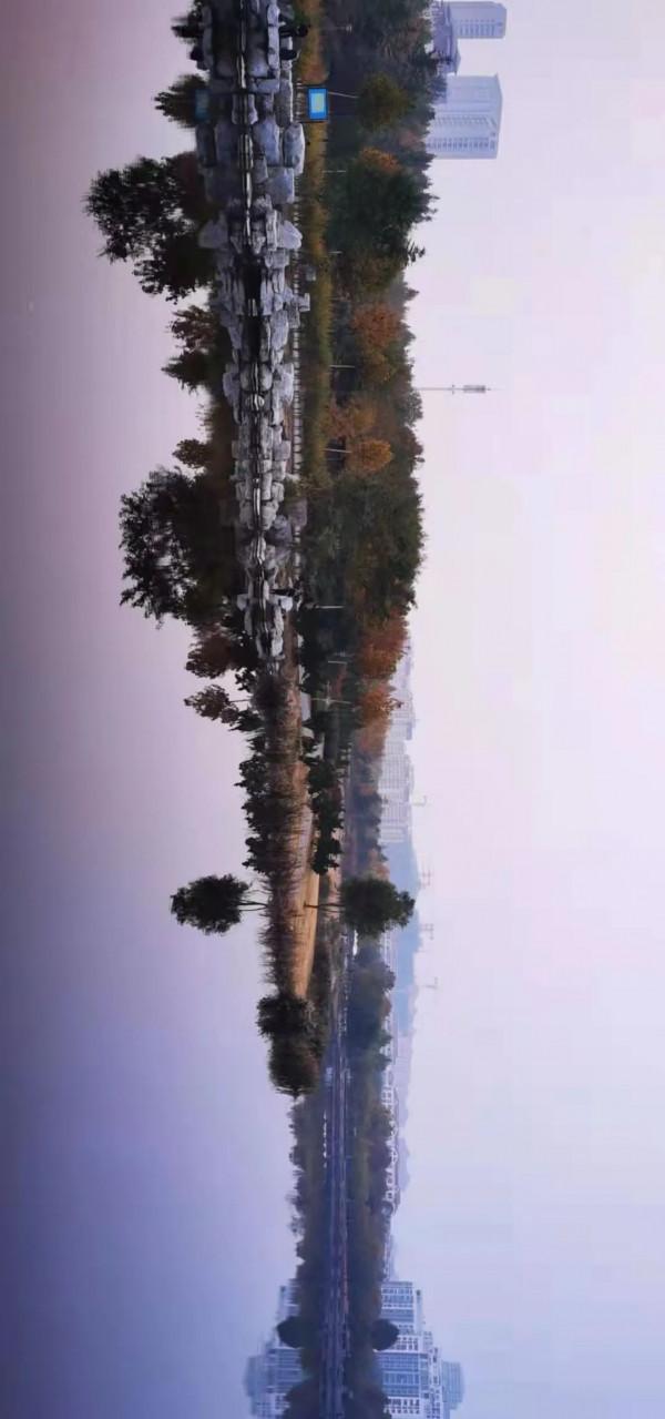 海陽溼地公園的“冬之美”