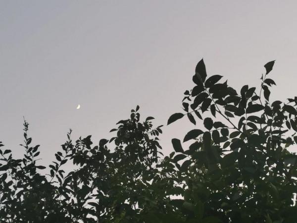 回家本身便是最重要的事 回家本身便是最重要的事