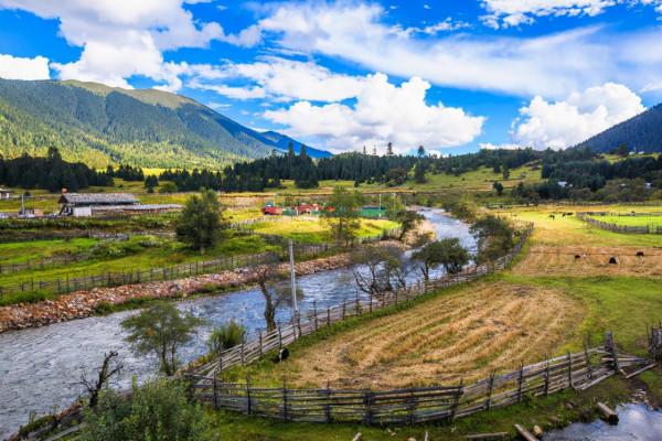 西藏一5A神秘湖泊,各類野生珍稀植物匯聚於此,有“小瑞士”美譽 西藏一5A神秘湖泊,各類野生珍稀植物匯聚於此,有“小瑞士”美譽