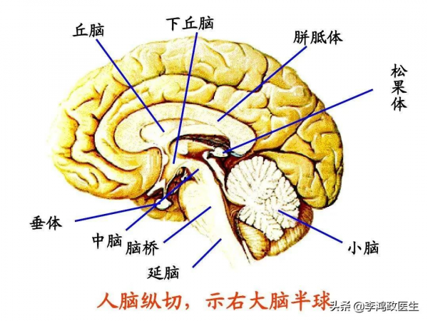女子口渴狂喝水，每天拉8升尿，排除糖尿病後醫生：激素出問題了