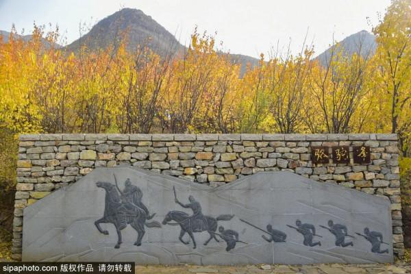 最新實拍!北京這裡紅葉美翻了!關鍵人少還免費,快來打卡 最新實拍!北京這裡紅葉美翻了!關鍵人少還免費,快來打卡