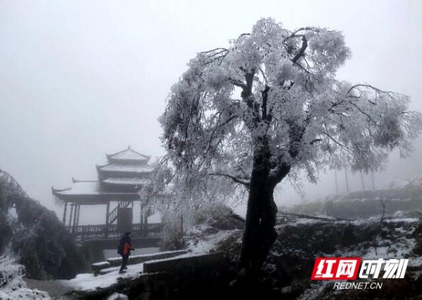 邵陽新寧：瑤山冰雪交融 雲海曼妙絕美