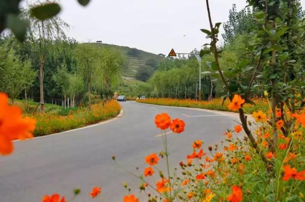 講真！今天出遊最明智，不堵！且為您選好了路線……