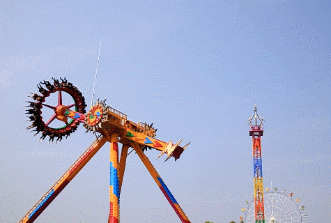 愛了愛了,木蘭花鄉的冬天居然這麼";暖"; 愛了愛了,木蘭花鄉的冬天居然這麼";暖";